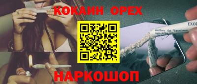 крисы Ливны