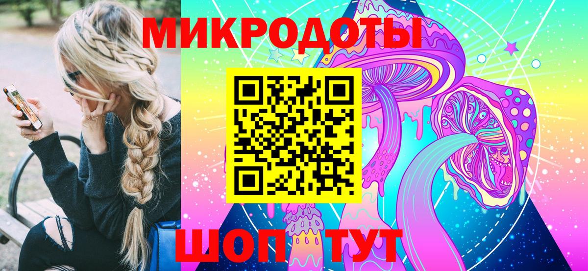Псилоцибиновые грибы Psilocybine cubensis Десногорск
