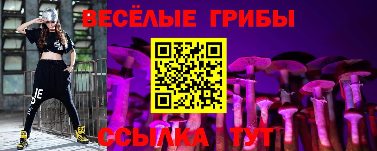 Десногорск  Галлюциногенные грибы мухоморы  Псилоцибиновые грибы Cubensis  цены   Вход с VPN 